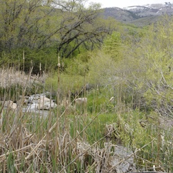 06-04-2011-Butterfield-Canyon-Hike